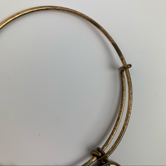 Alex and Ani Walt Disney World Bracelet Cinderella’s Castle Gold Bangle - Picture 5 of 11